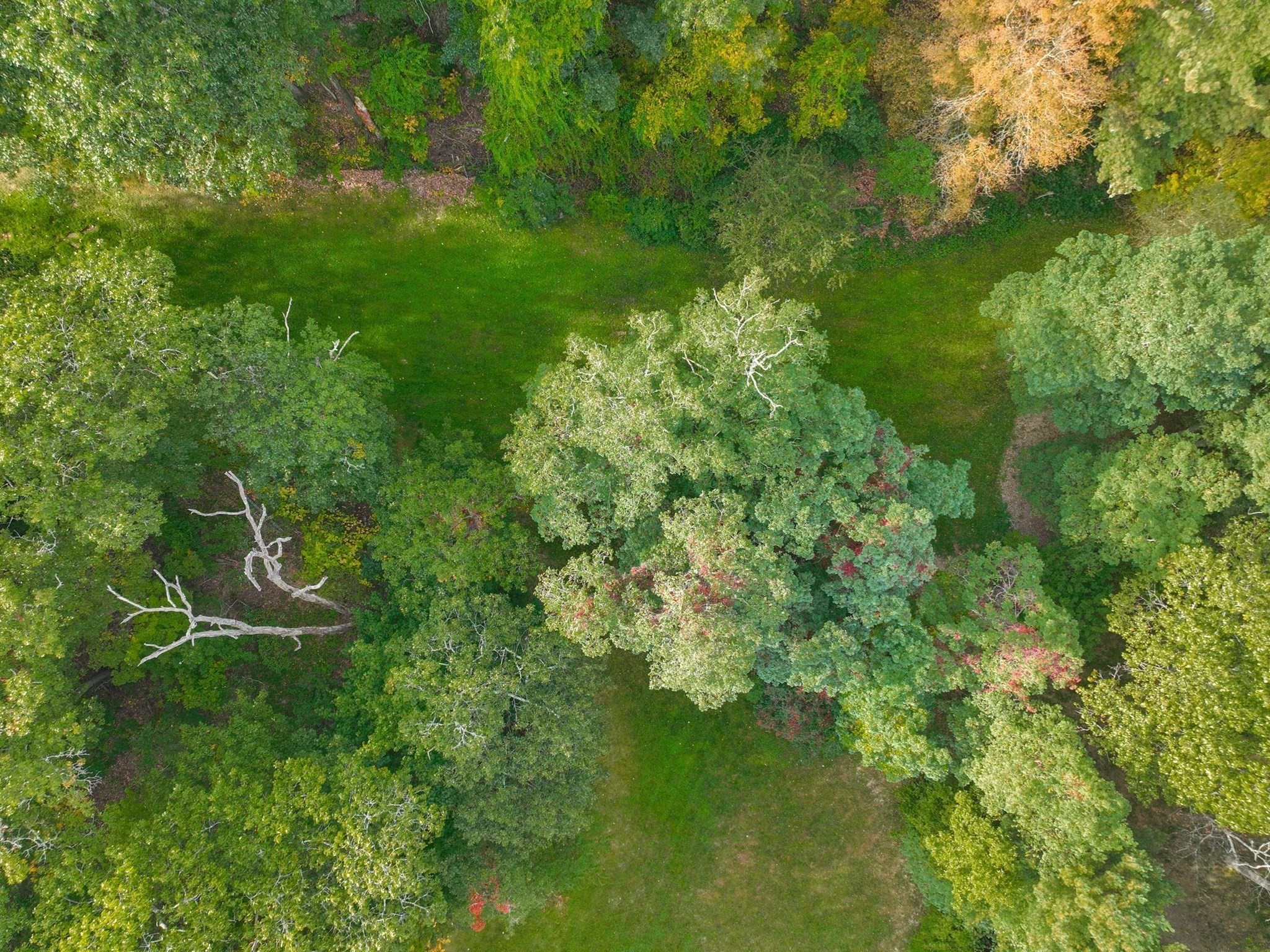 79 Goddard Avenue, Brookline, MA 02445 - Image 25