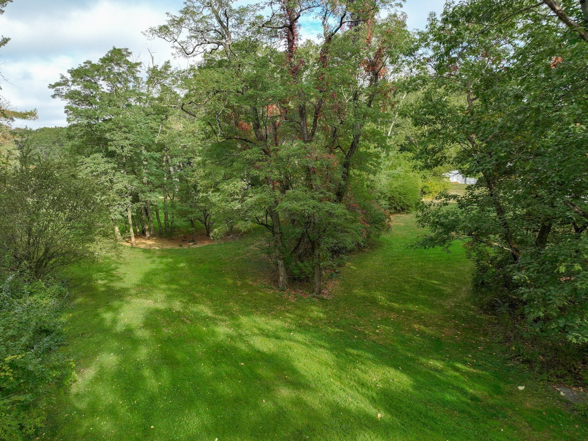 79 Goddard Avenue, Brookline, MA 02445 - Image 8