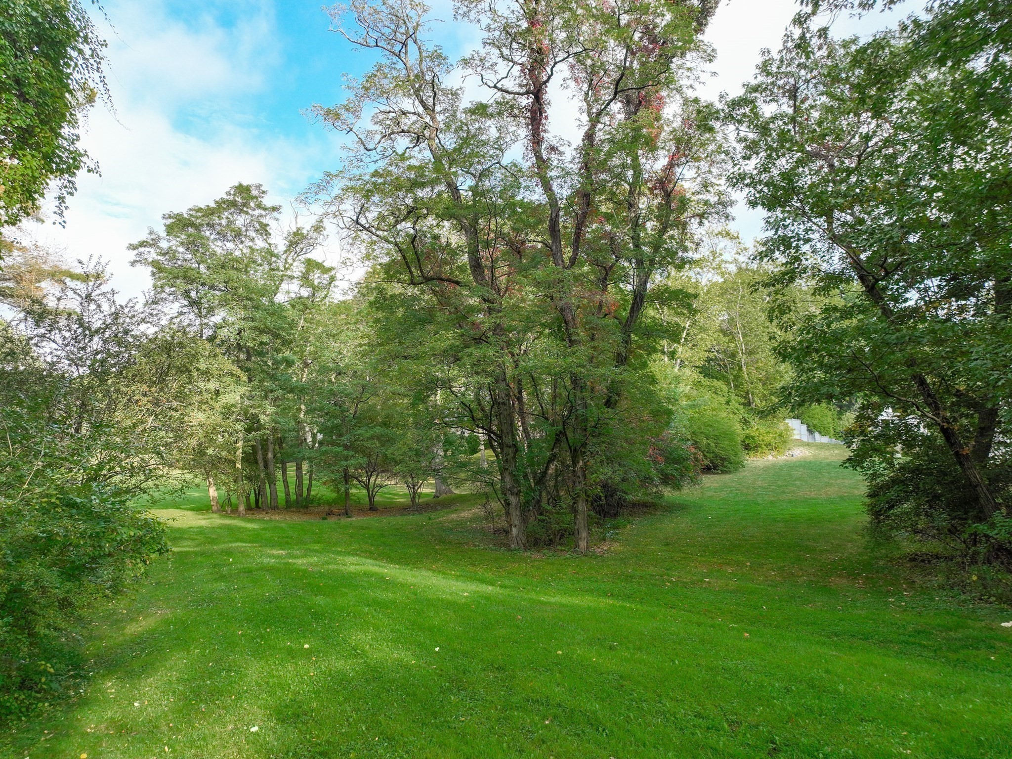 79 Goddard Avenue, Brookline, MA 02445 - Image 9