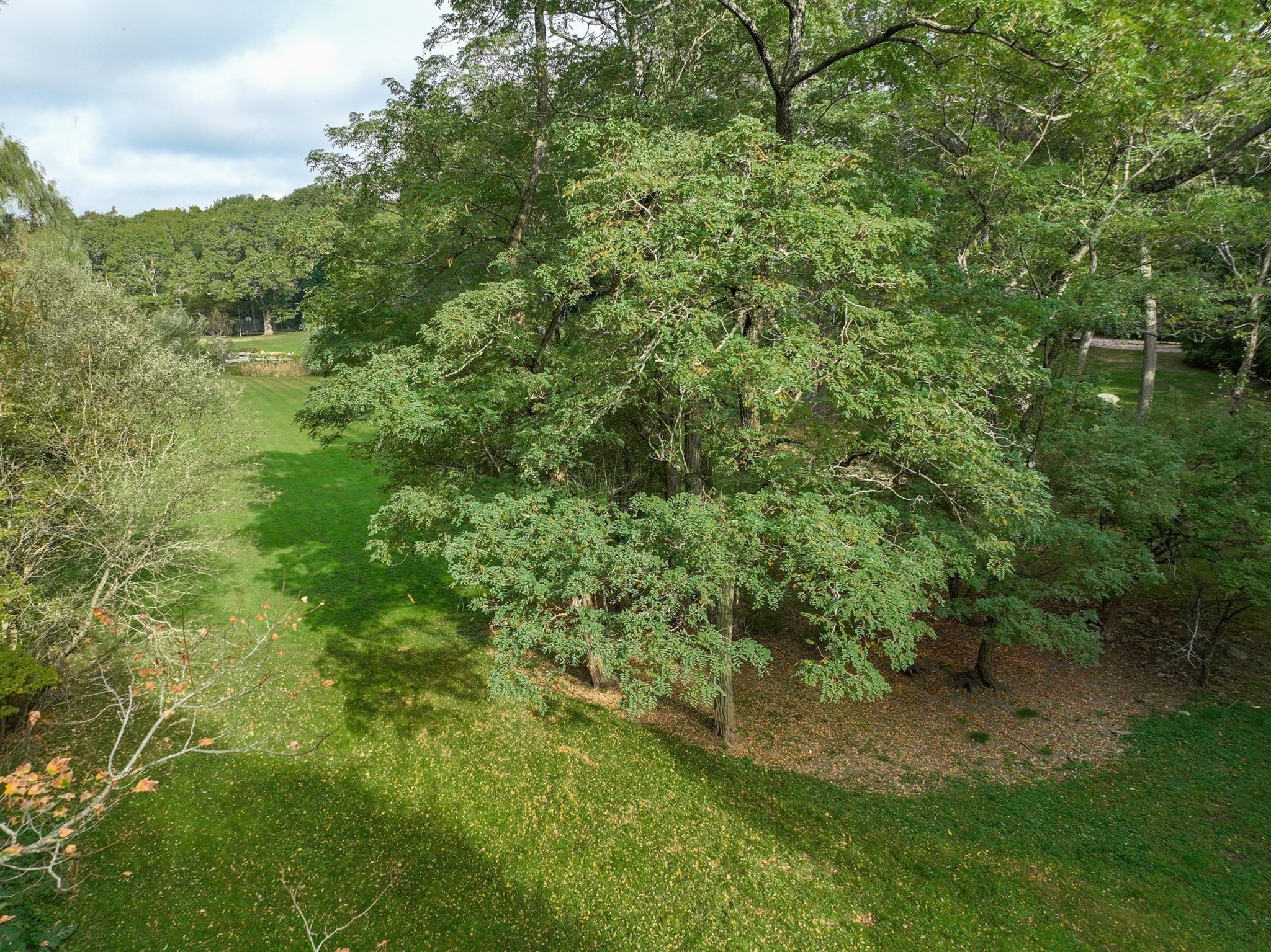 79 Goddard Avenue, Brookline, MA 02445 - Image 10