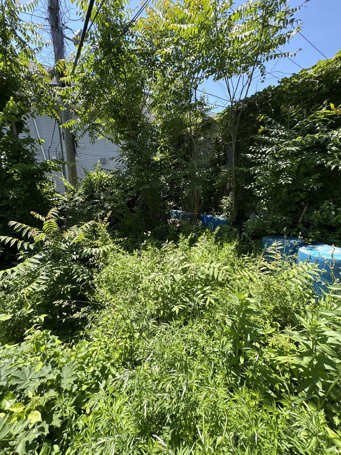 6 Burton, Worcester, MA 01607 - Image 20