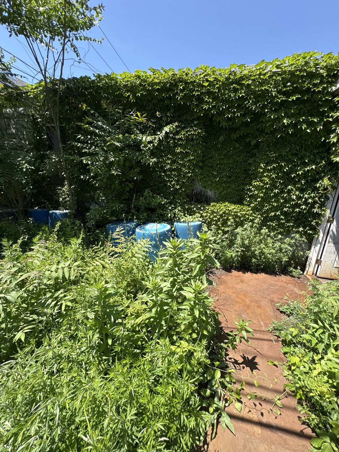 6 Burton, Worcester, MA 01607 - Image 22