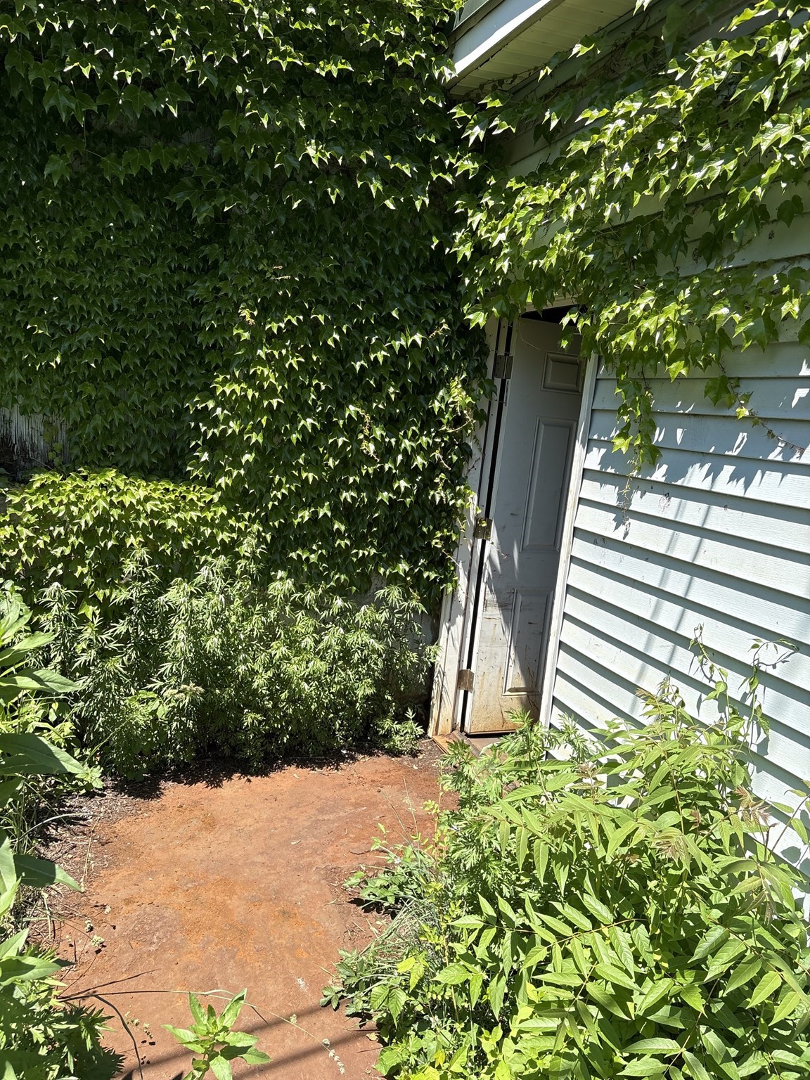 6 Burton, Worcester, MA 01607 - Image 23