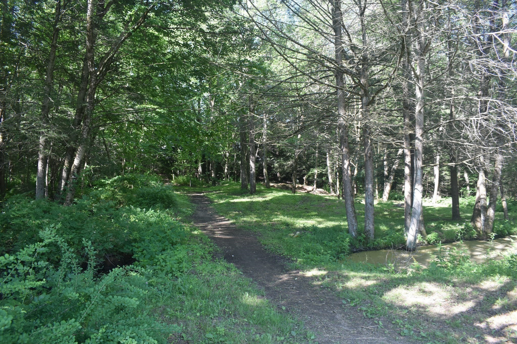 111 Northwest Road, Spencer, MA 01562 - Image 25