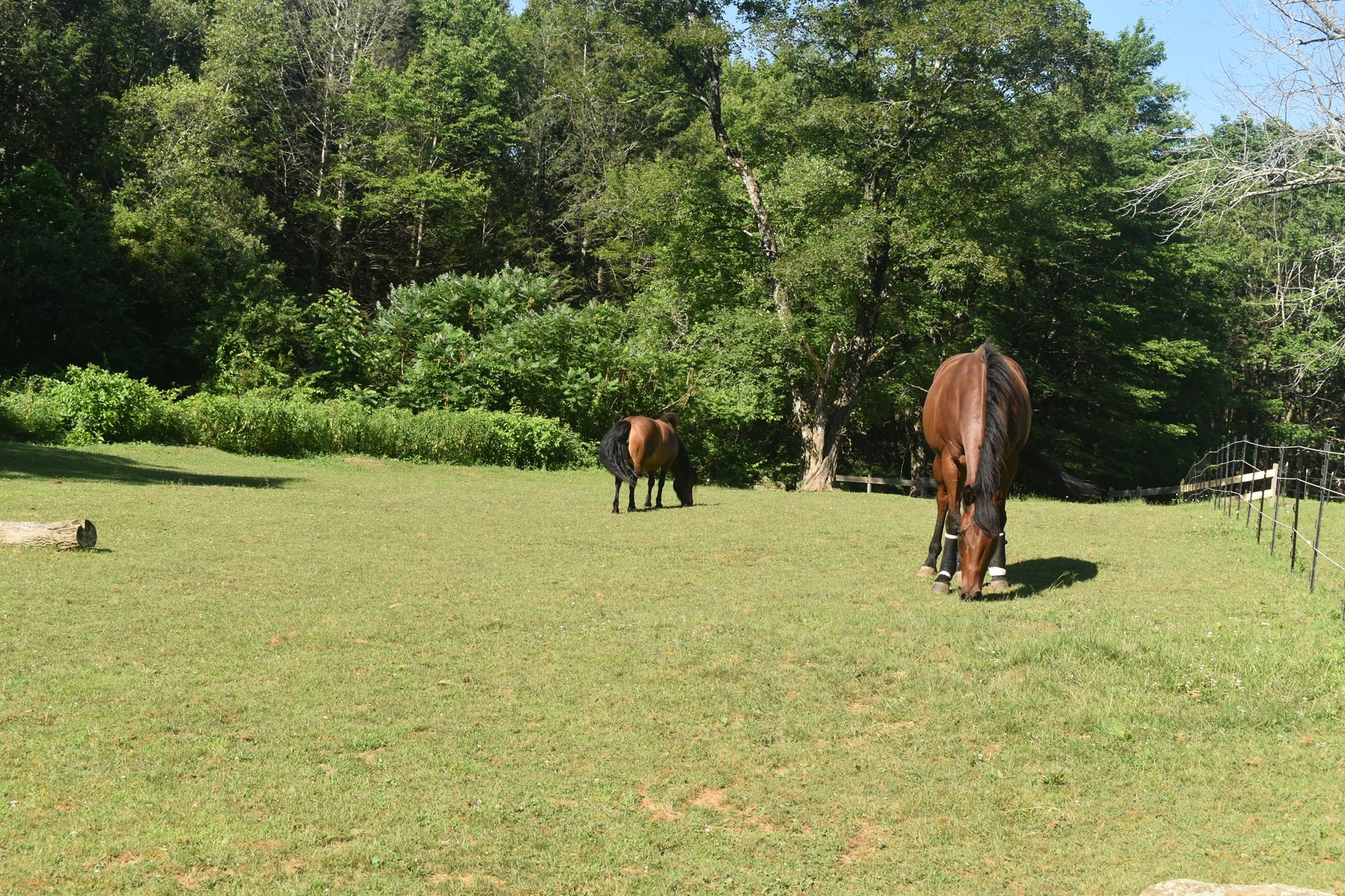 111 Northwest Road, Spencer, MA 01562 - Image 33