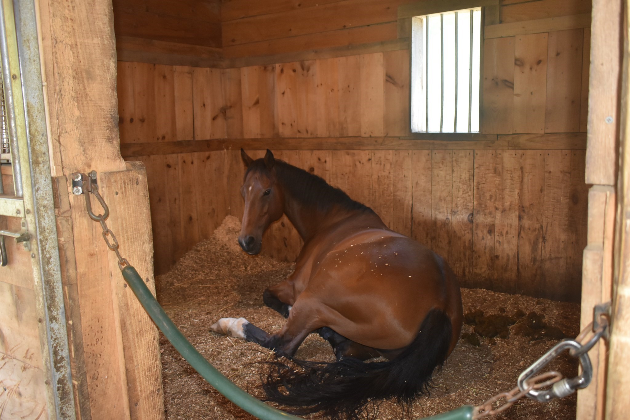 111 Northwest Road, Spencer, MA 01562 - Image 34