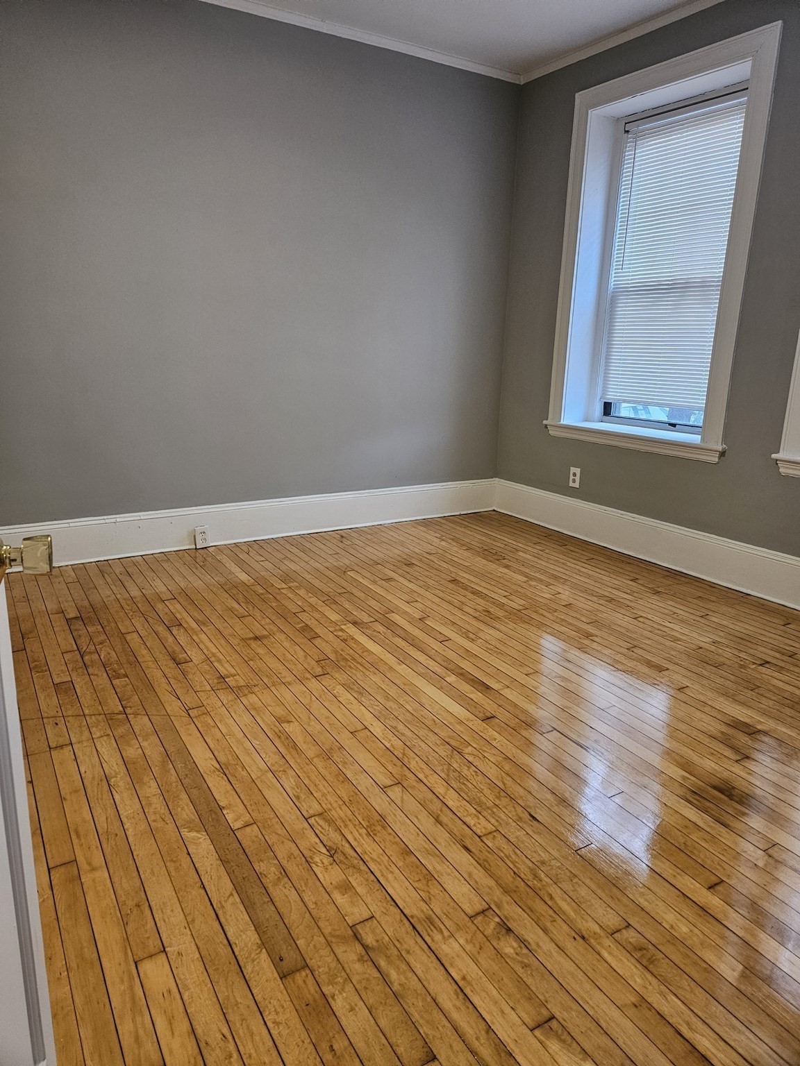 59 Brighton Ave Unit 1, Allston, Boston, MA 02134 - Image 17