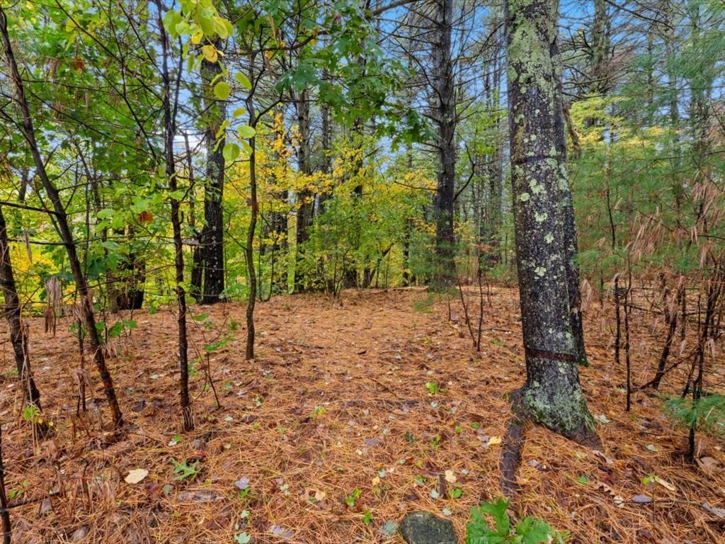 33 Daniels St, Franklin, MA 02038 - Image 29