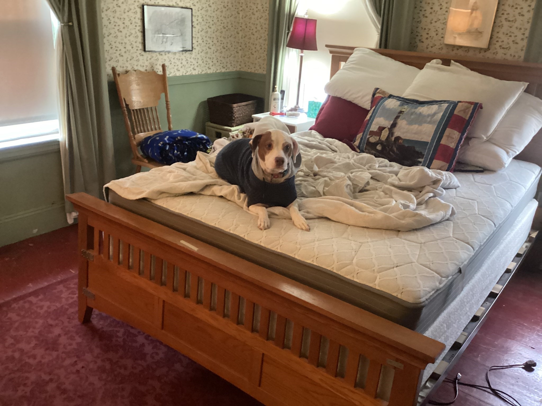 36 Oakridge Street, Mattapan, Boston, MA 02126 - Image 13