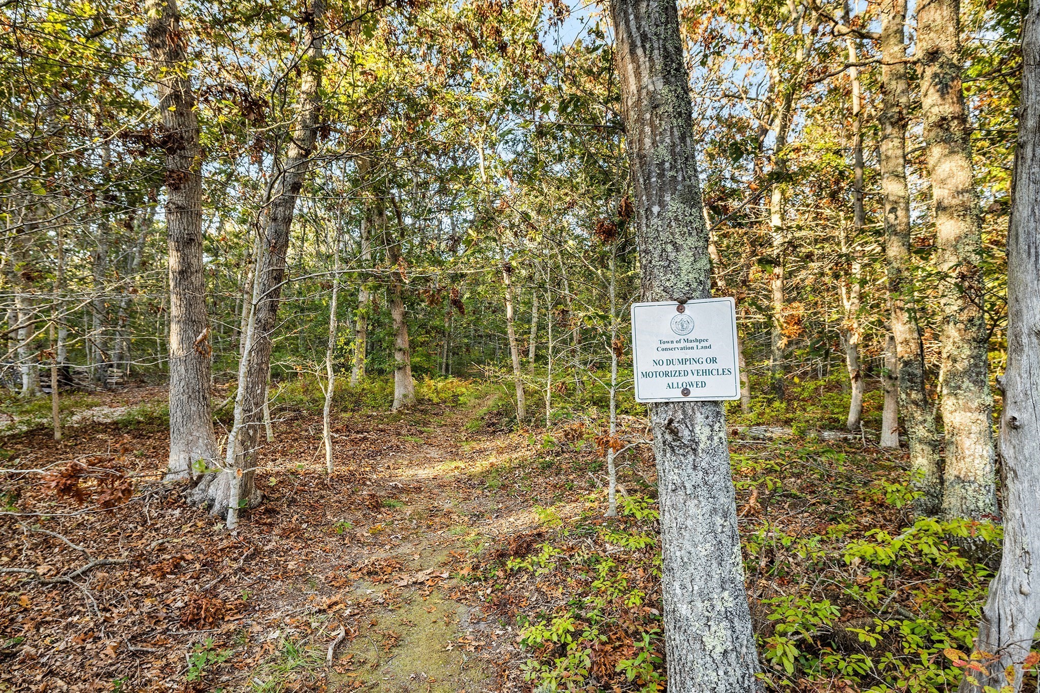 18 Katian Way, Mashpee, MA 02649 - Image 30