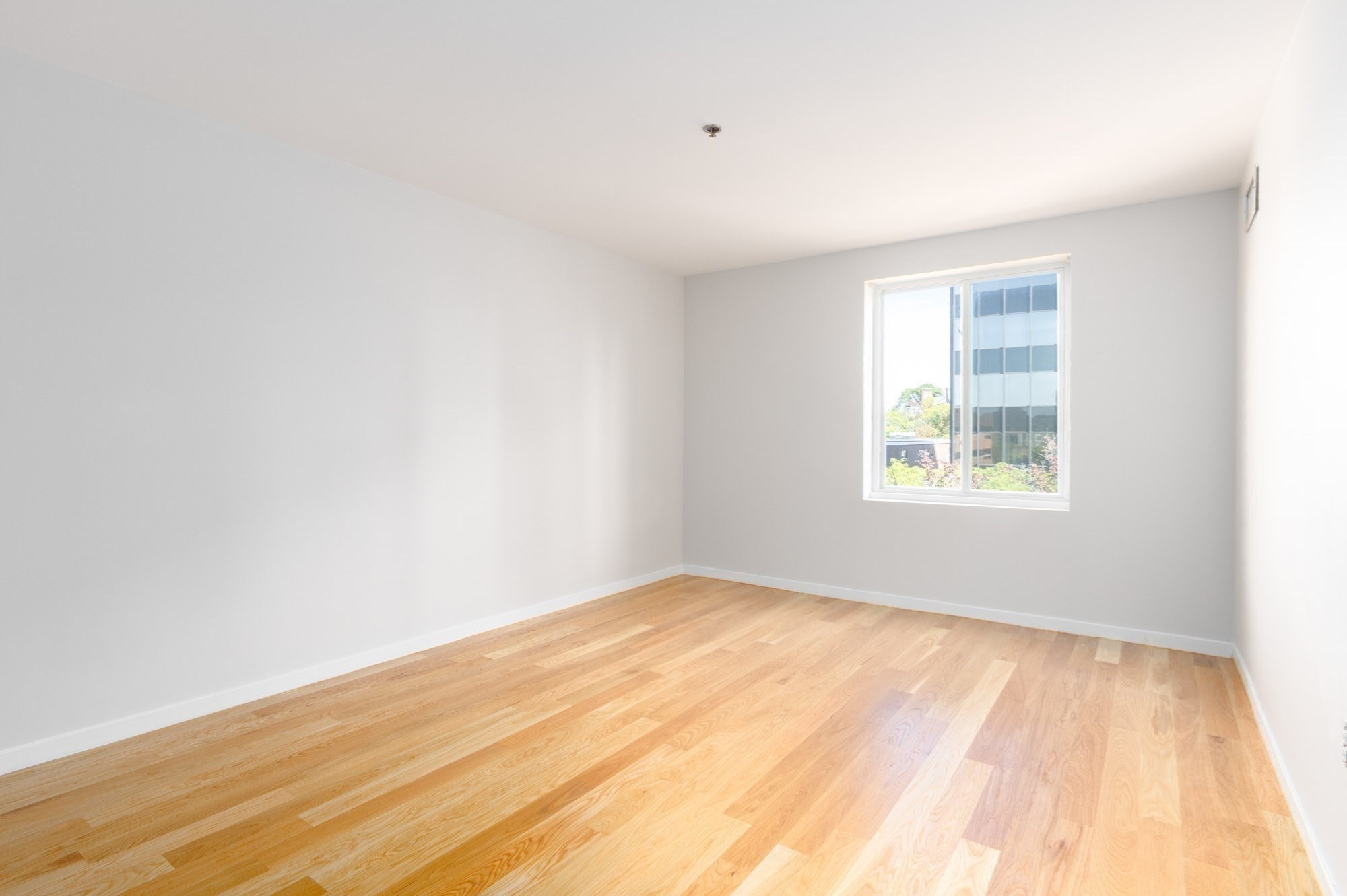 950 Massachusetts Ave Unit 504, Cambridge, MA 02139 - Image 11