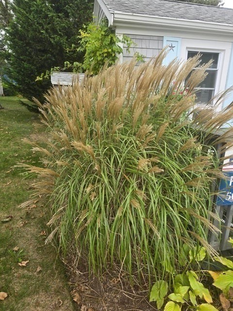 292 Massachusetts 28 Unit 1, Harwich, MA 02671 - Image 24