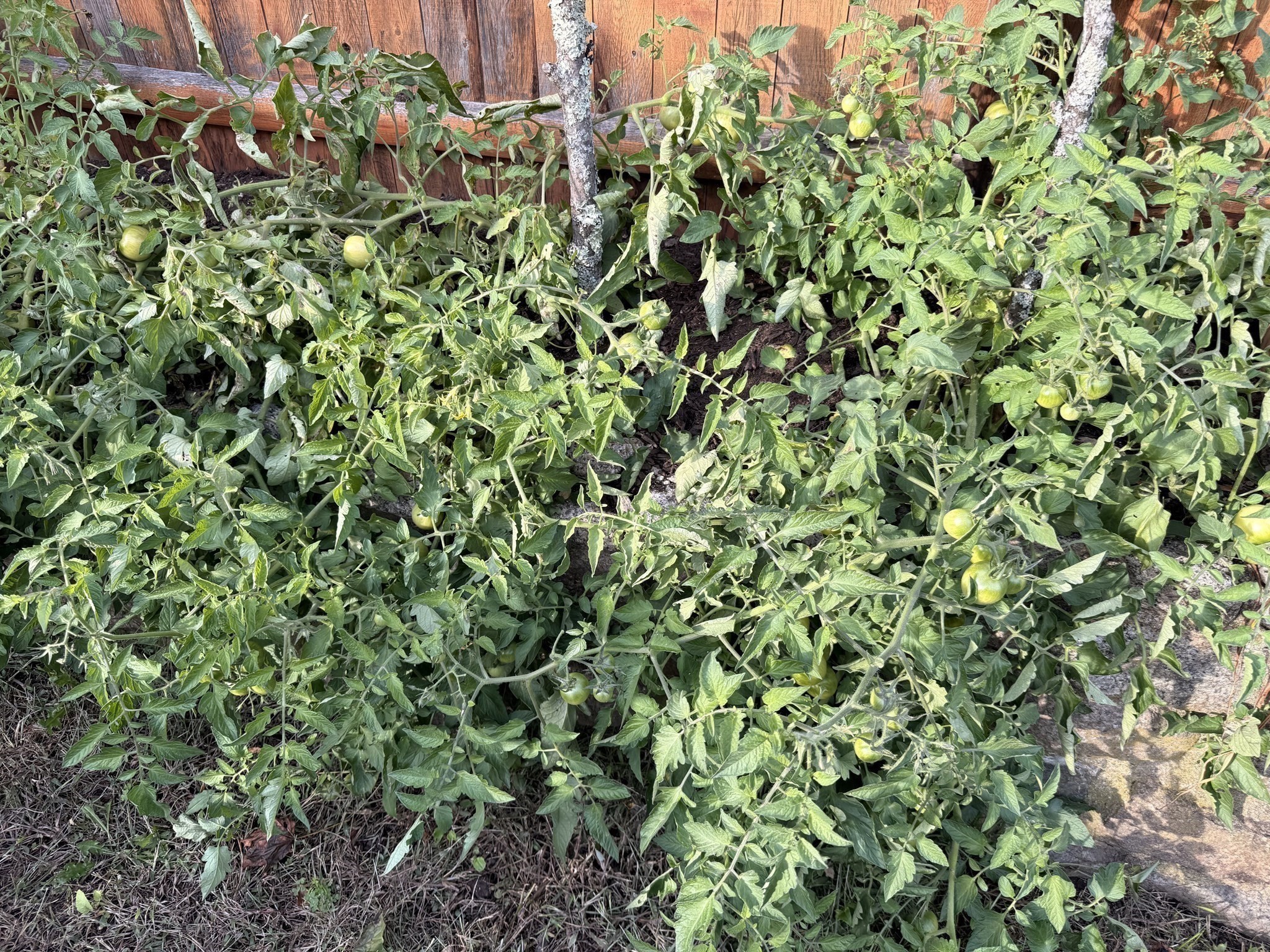 68 Sutcliffe Rd, Lynn, MA 01904 - Image 8