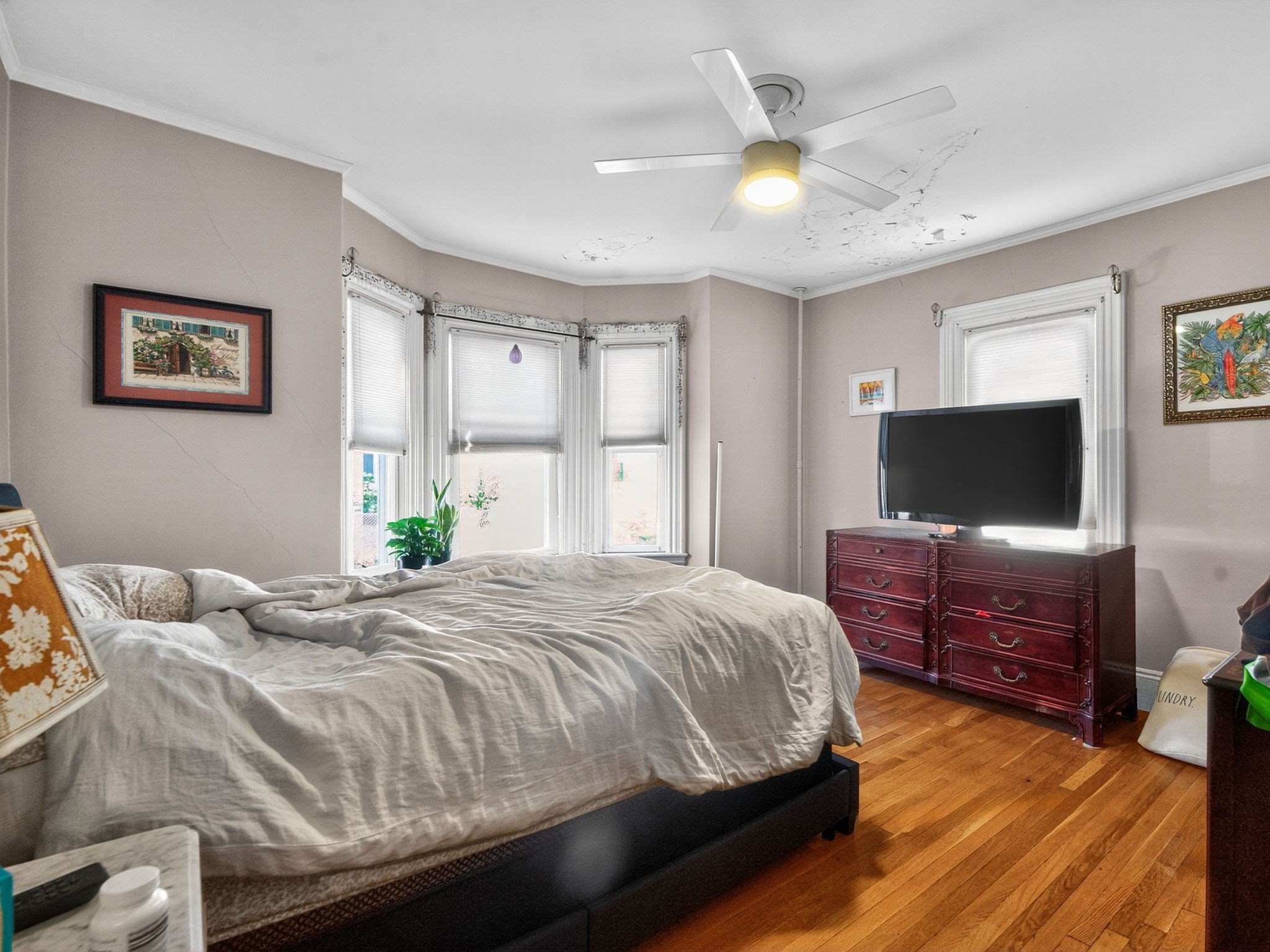 148 Beaver Street, Hyde Park, Boston, MA 02136 - Image 15