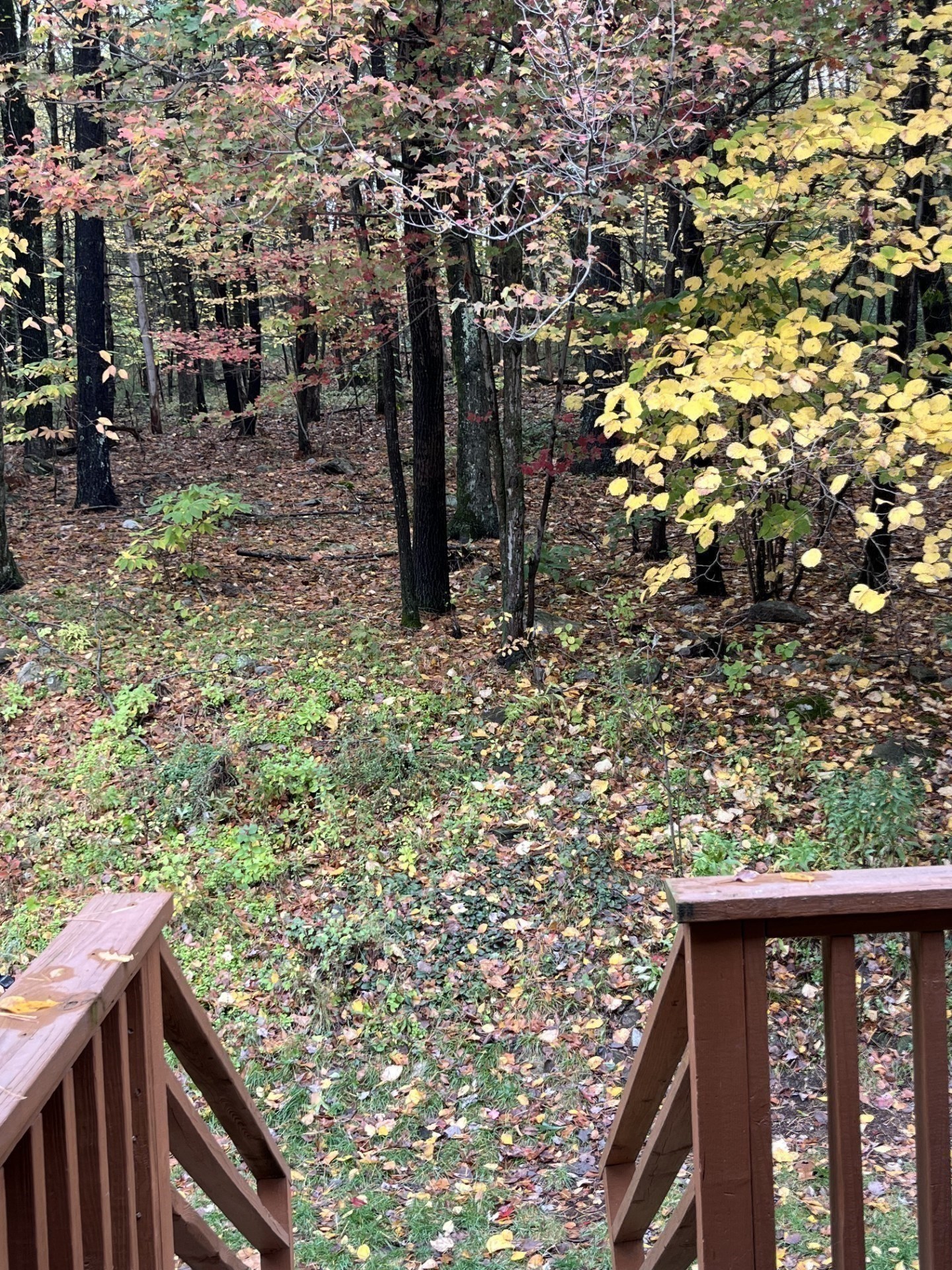 23 Thayer Pond Road Unit 1, Oxford, MA 01537 - Image 24