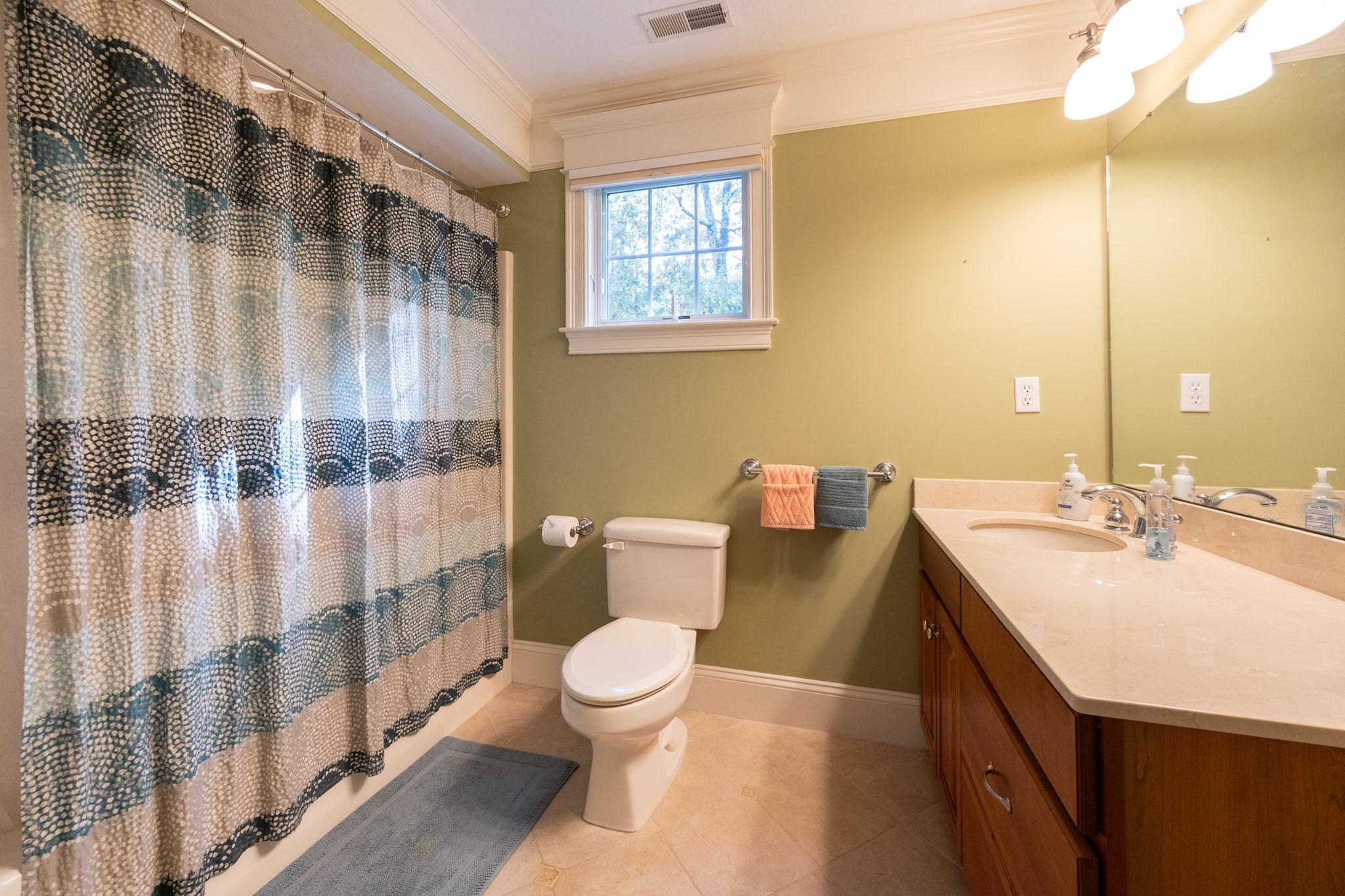 22 McNeil Cir Unit 22, Hopkinton, MA 01748 - Image 28