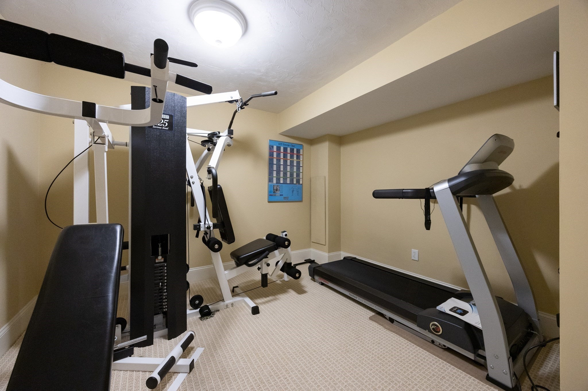 22 McNeil Cir Unit 22, Hopkinton, MA 01748 - Image 39