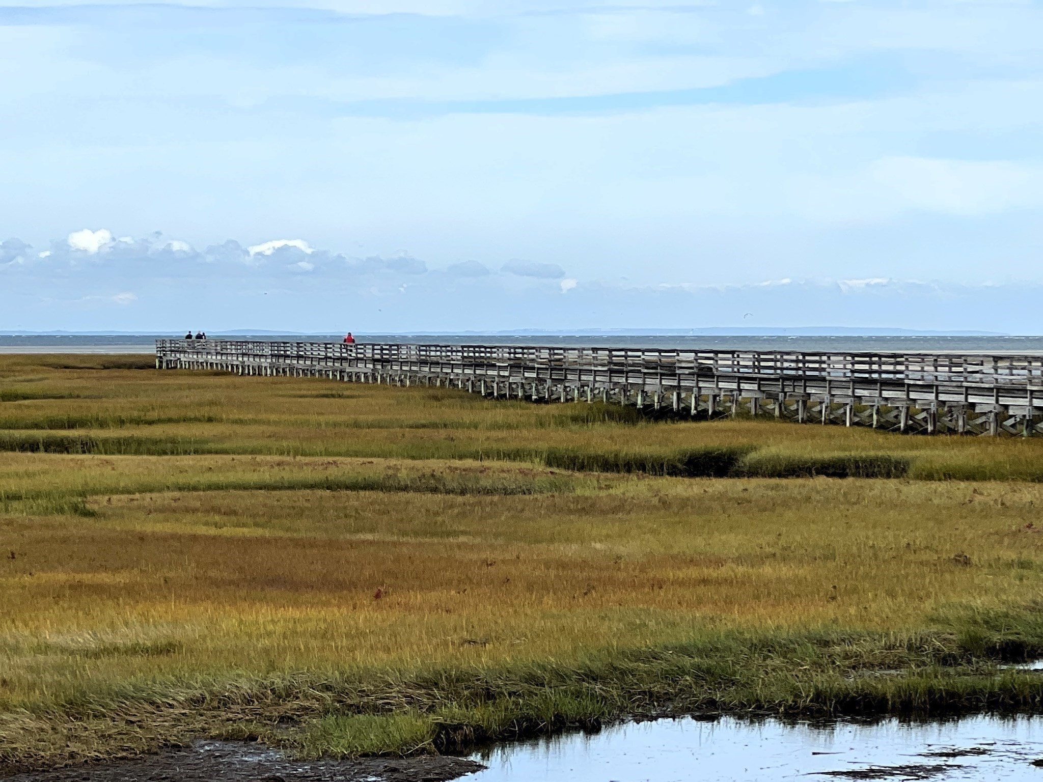 24 Minnetuxet Way, Yarmouth, MA 02675 - Image 40