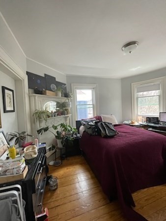 42 Grampian Way, Dorchester, Boston, MA 02125 - Image 15