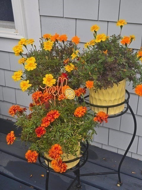 292 Massachusetts 28 Unit 7, Harwich, MA 02671 - Image 4