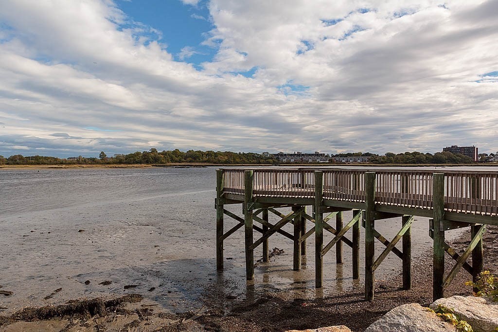 171 Walnut Street Unit 4, Dorchester, Boston, MA 02122 - Image 26