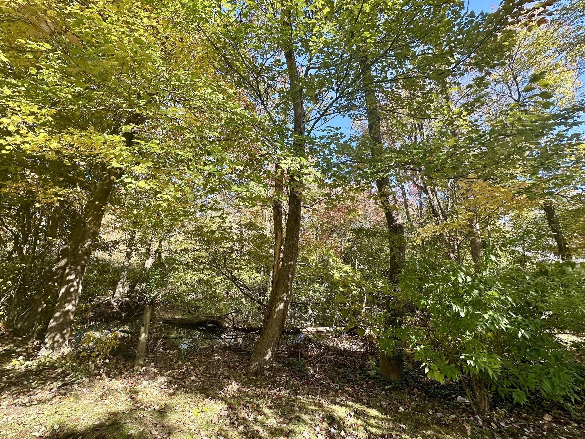 255 West St, Weymouth, MA 02188 - Image 24