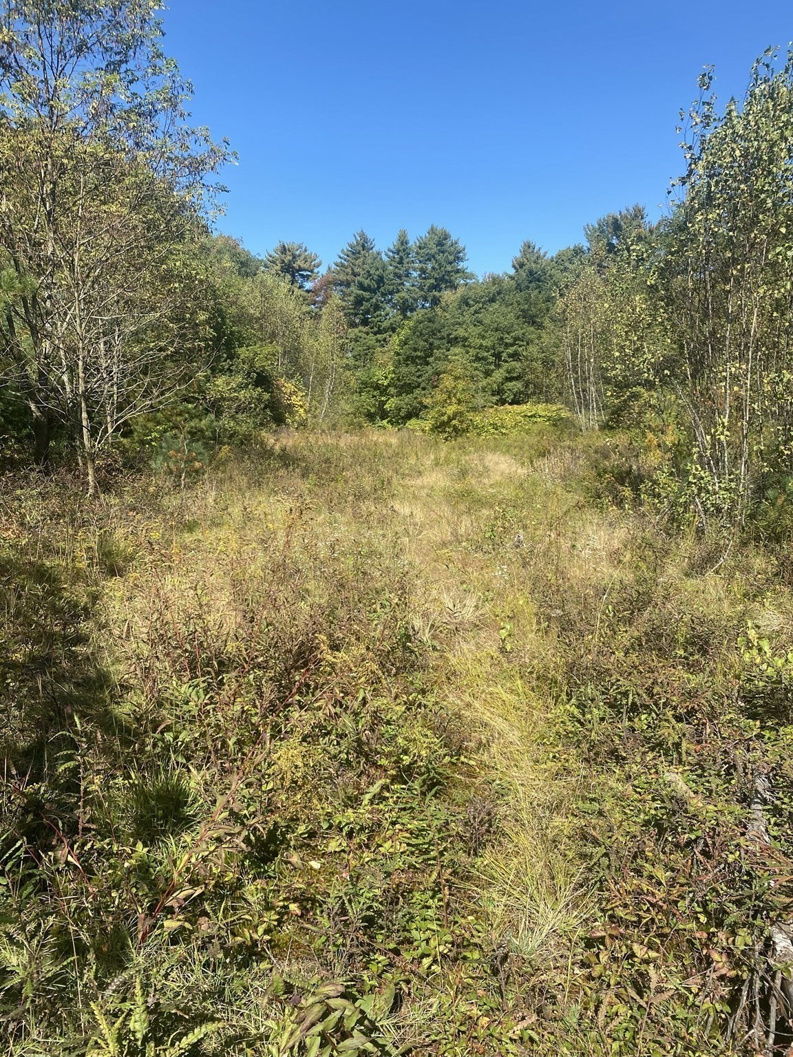 87 State St, Palmer, MA 01009 - Image 14