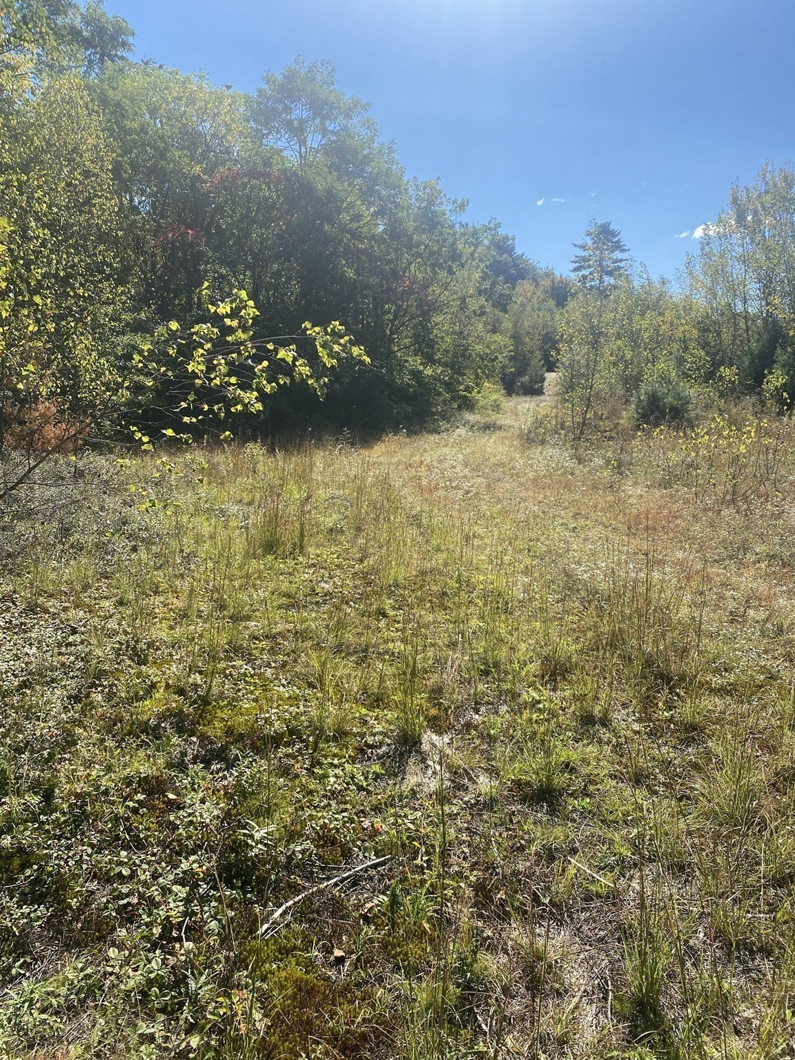 87 State St, Palmer, MA 01009 - Image 15