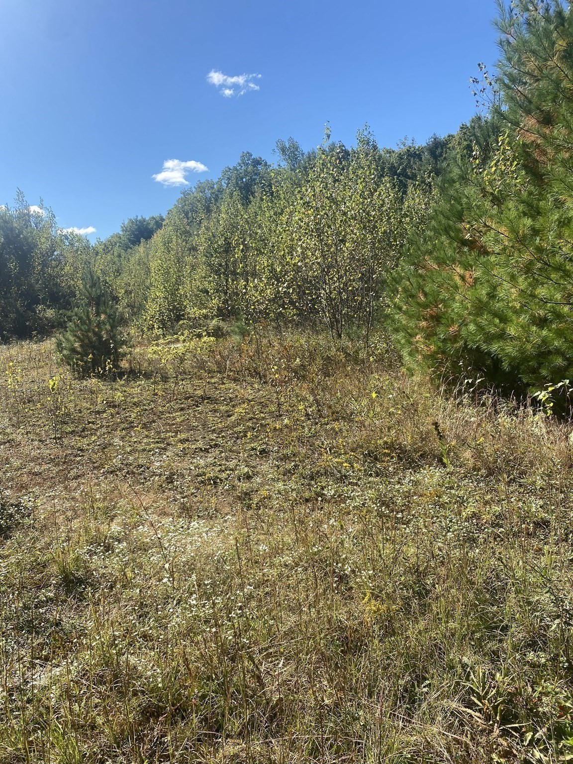 87 State St, Palmer, MA 01009 - Image 16