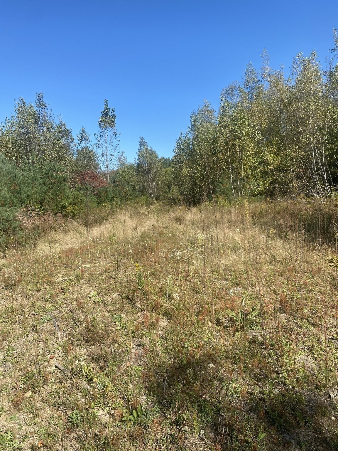 87 State St, Palmer, MA 01009 - Image 3