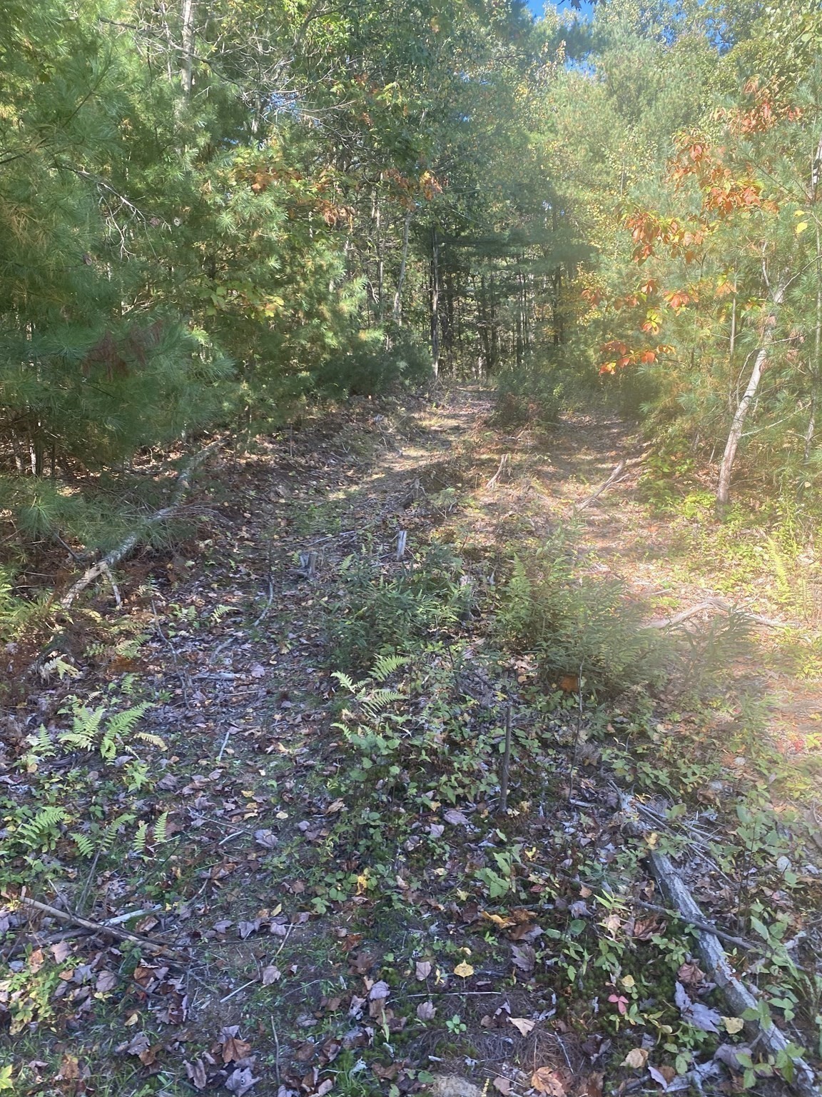 87 State St, Palmer, MA 01009 - Image 5