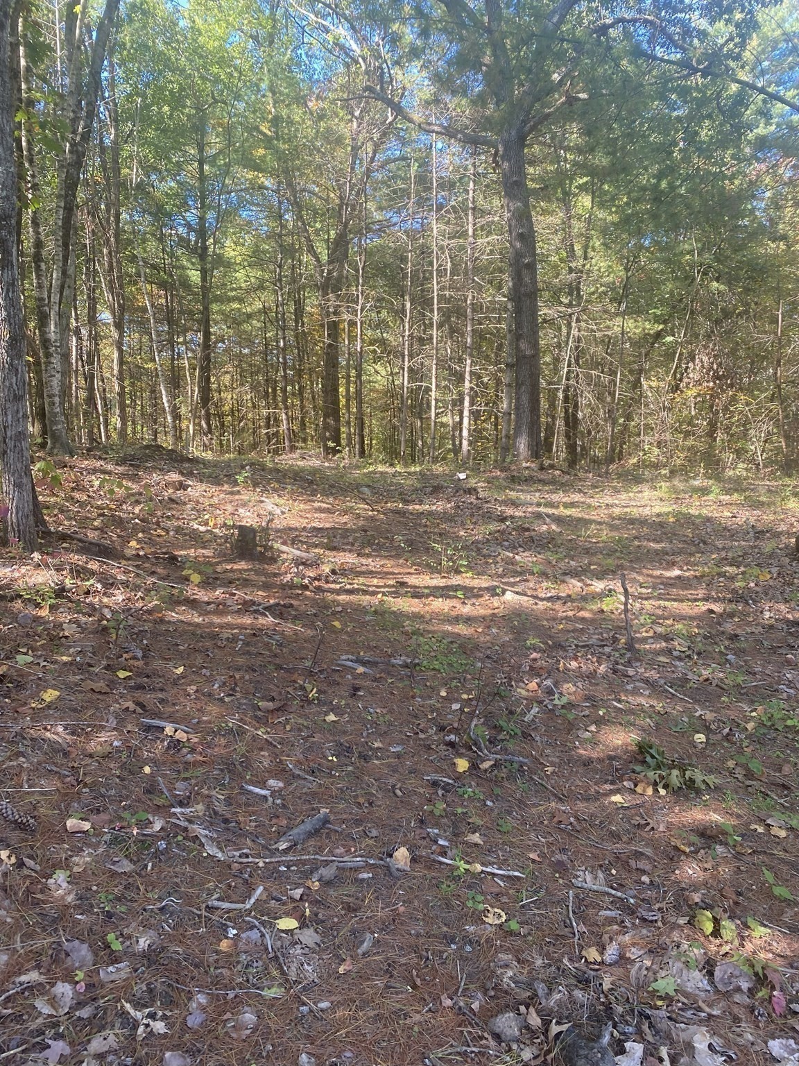 87 State St, Palmer, MA 01009 - Image 6