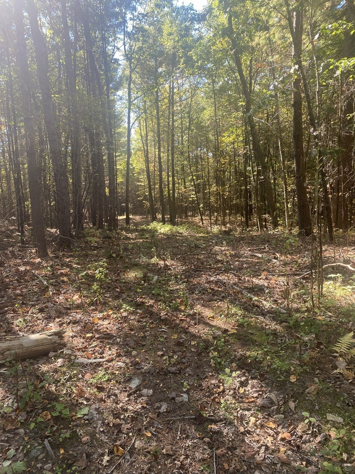 87 State St, Palmer, MA 01009 - Image 7