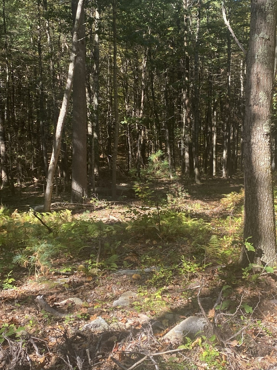 87 State St, Palmer, MA 01009 - Image 9