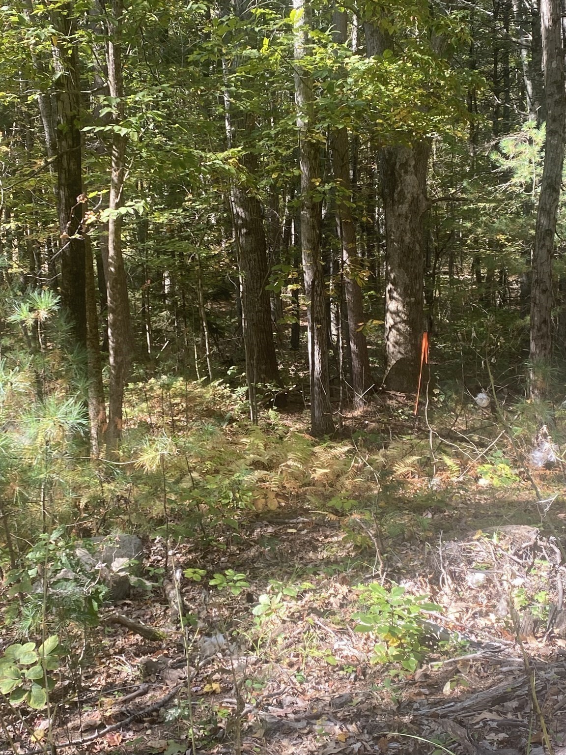 87 State St, Palmer, MA 01009 - Image 10