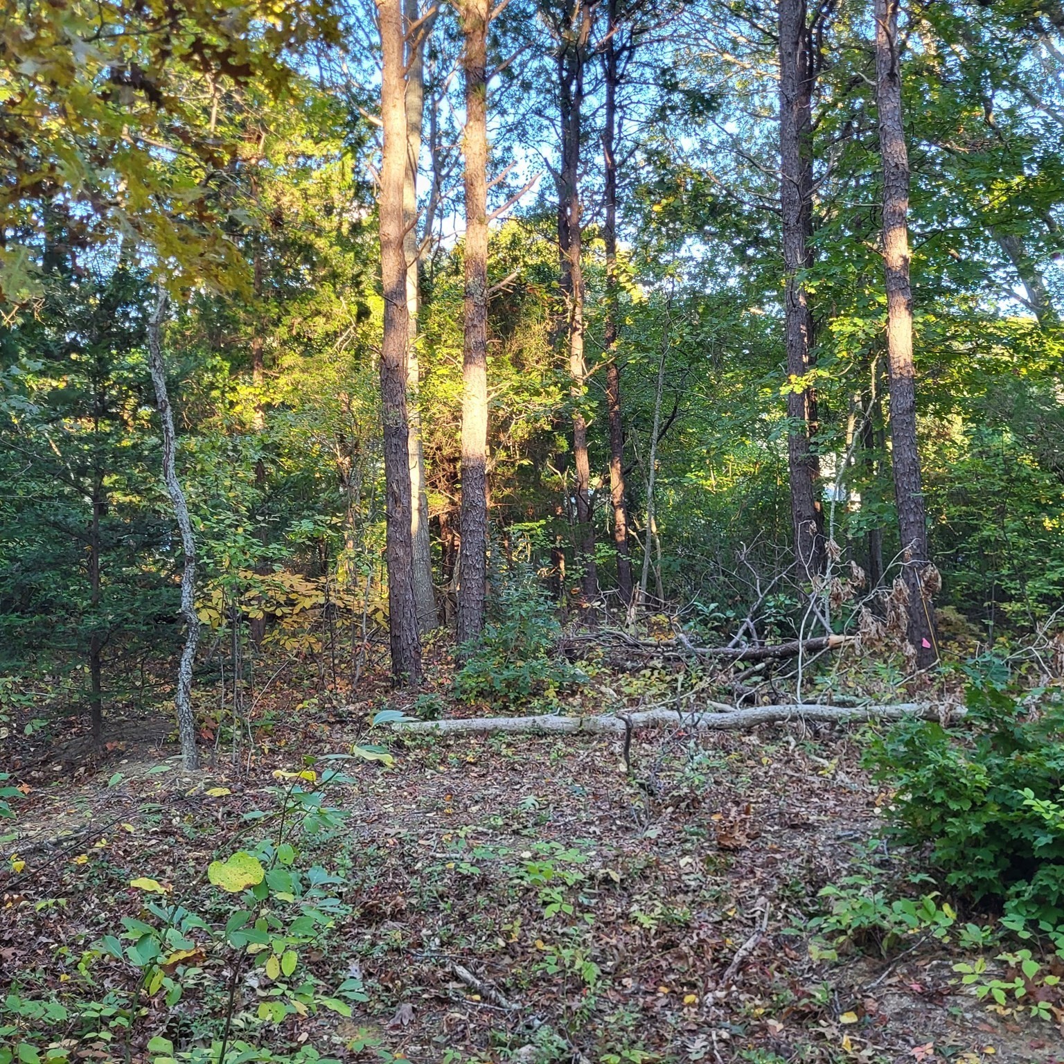 10 Tecumseh Road, Bourne, MA 02562 - Image 3