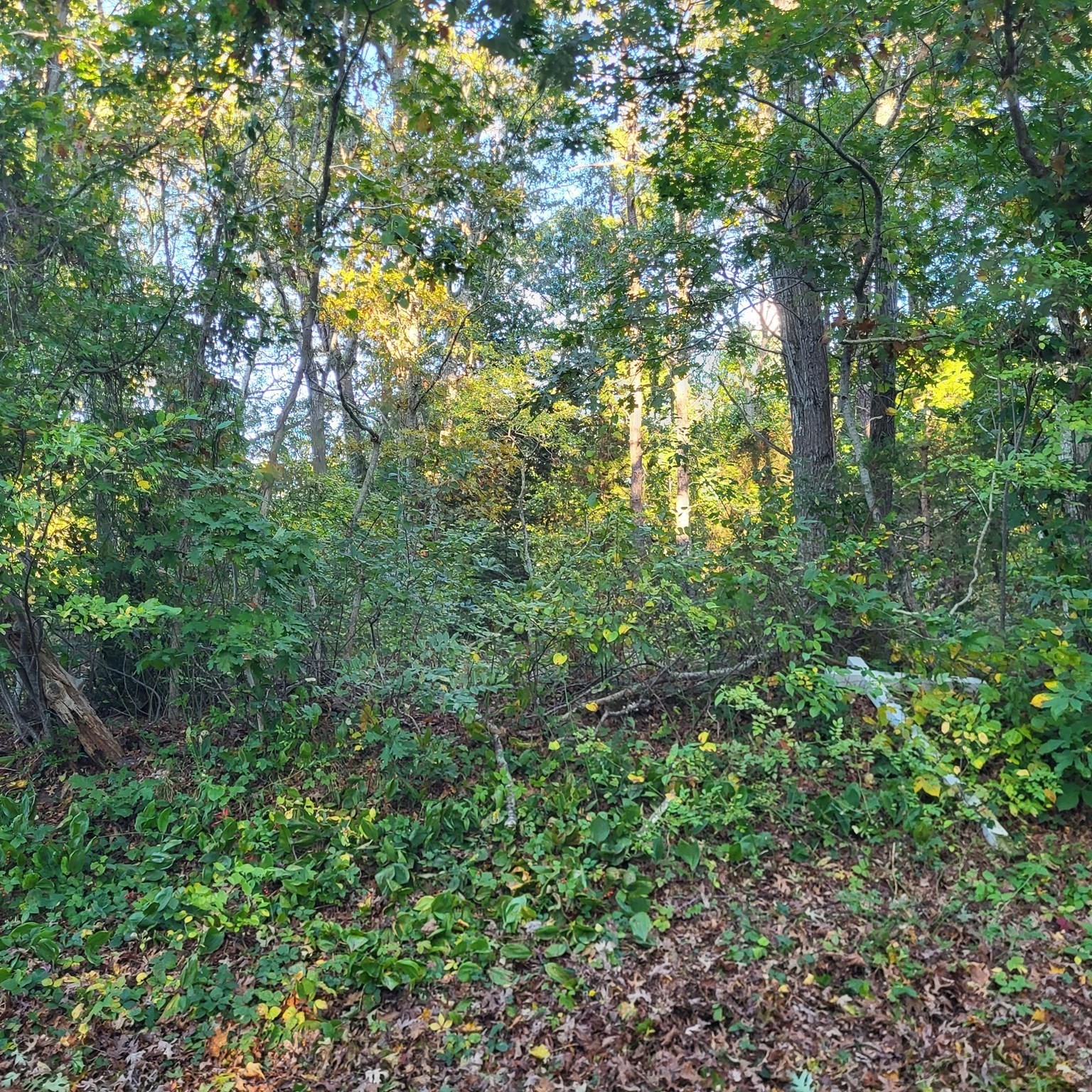 10 Tecumseh Road, Bourne, MA 02562 - Image 4