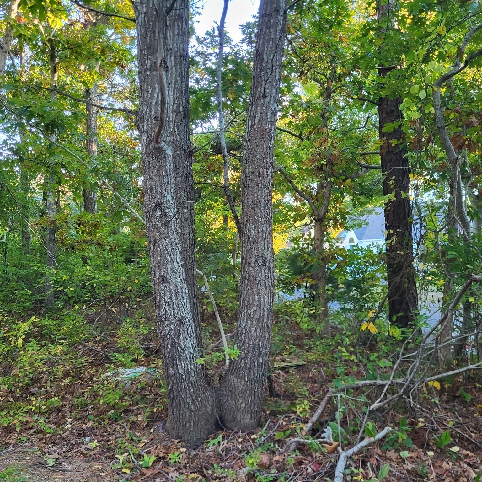 10 Tecumseh Road, Bourne, MA 02562 - Image 5