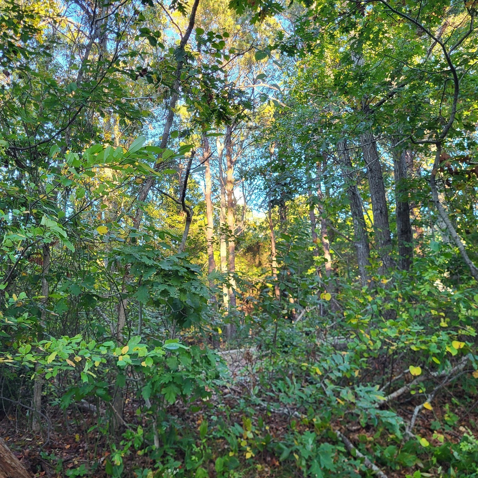 10 Tecumseh Road, Bourne, MA 02562 - Image 6