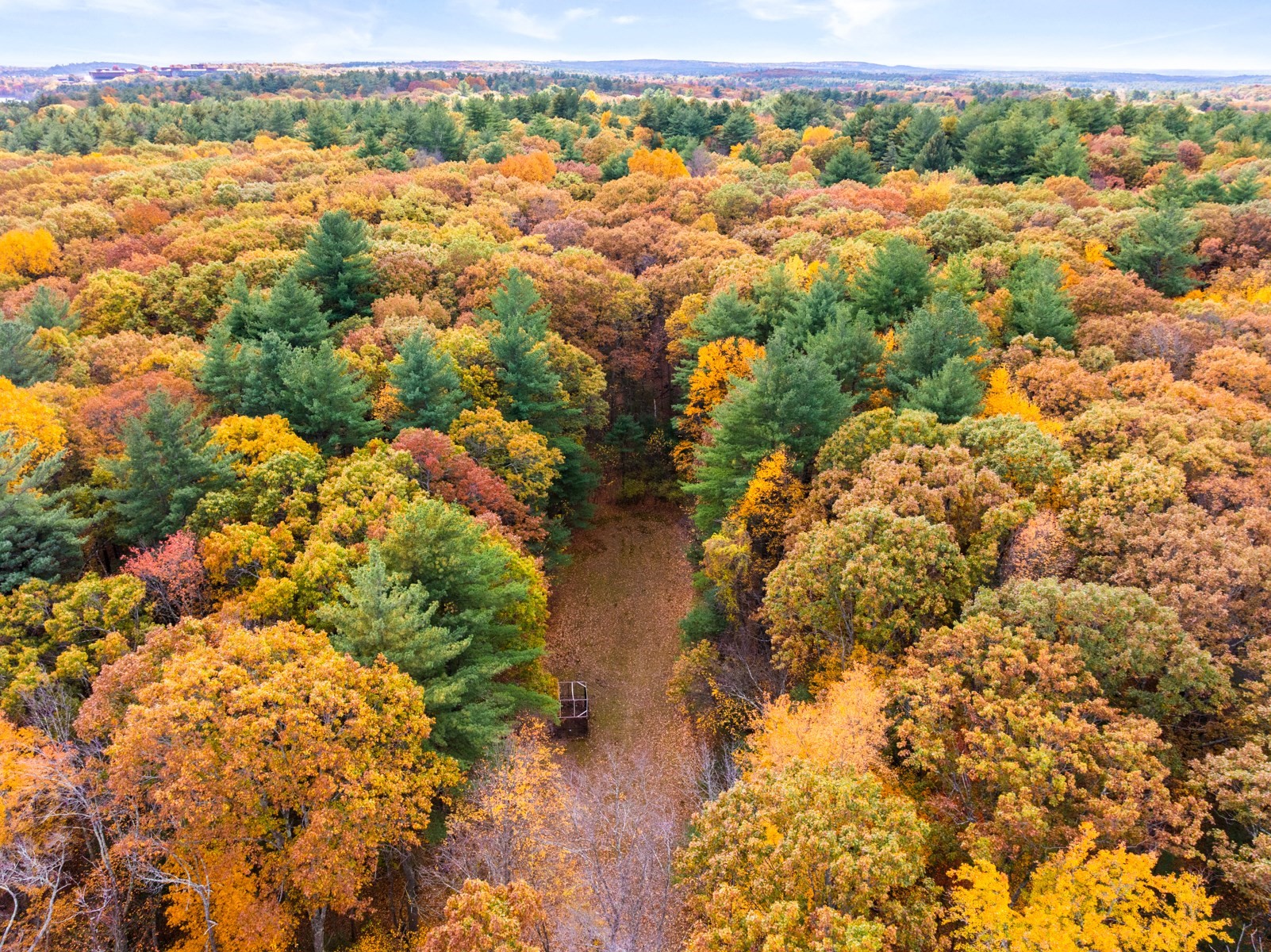 69 Page Rd, Lincoln, MA 01773 - Image 3