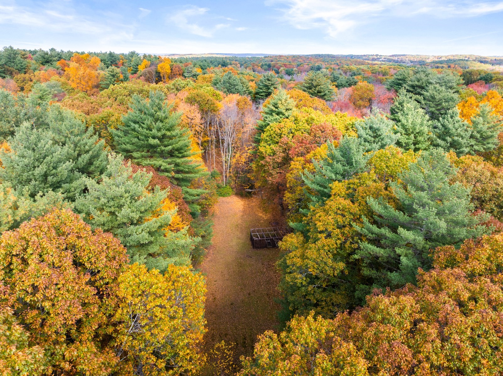 69 Page Rd, Lincoln, MA 01773 - Image 4