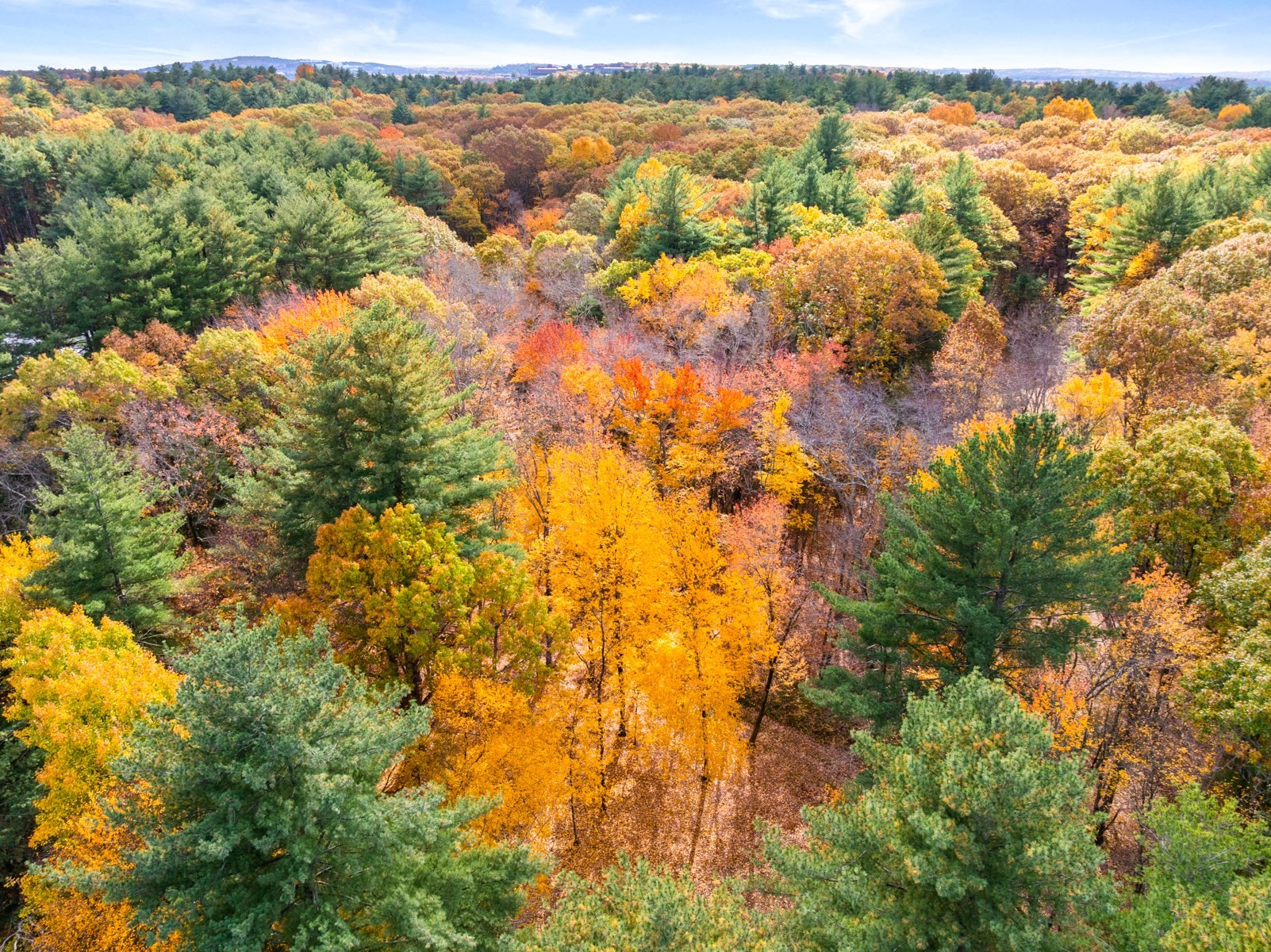 69 Page Rd, Lincoln, MA 01773 - Image 5