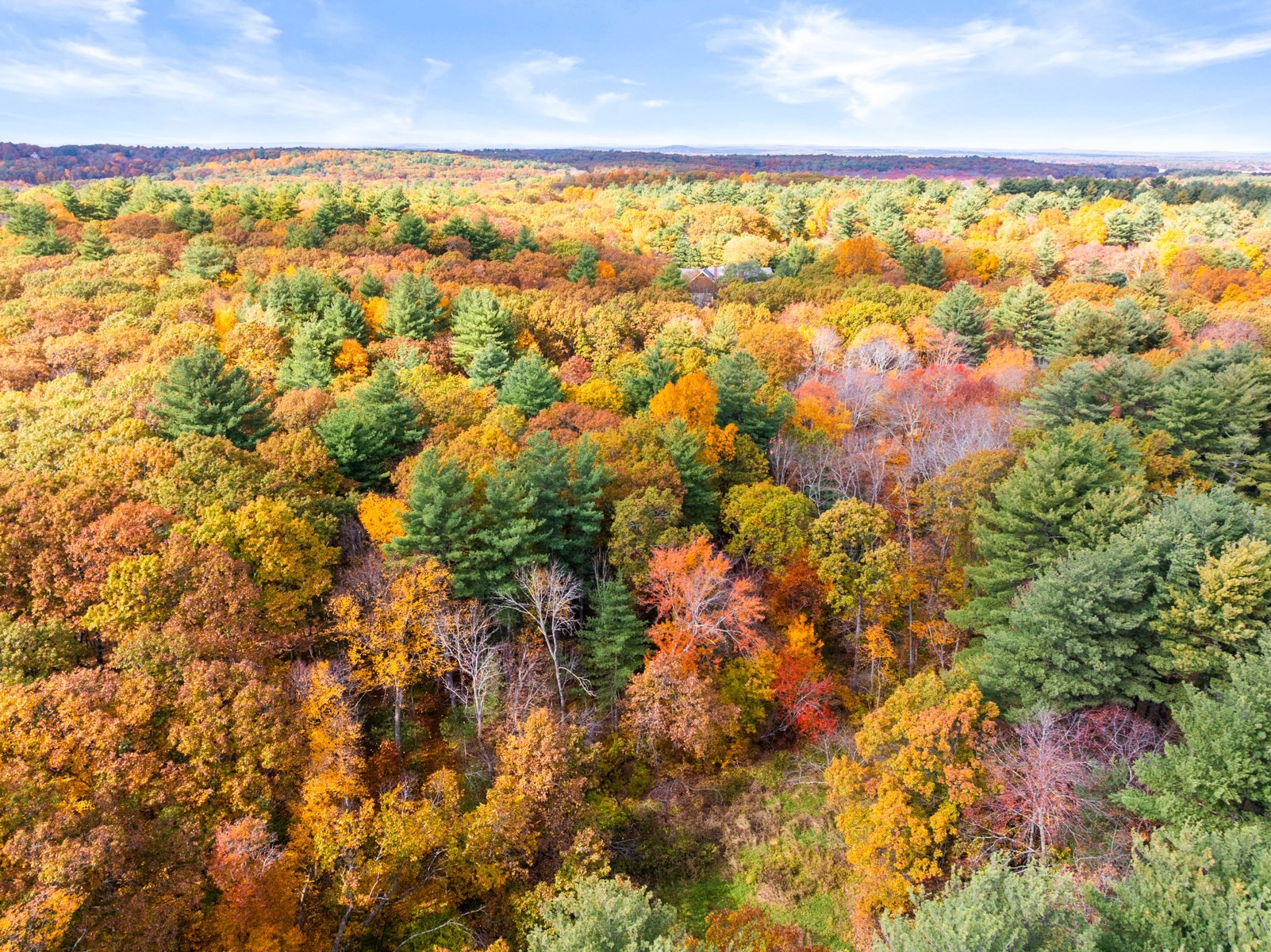 69 Page Rd, Lincoln, MA 01773 - Image 6