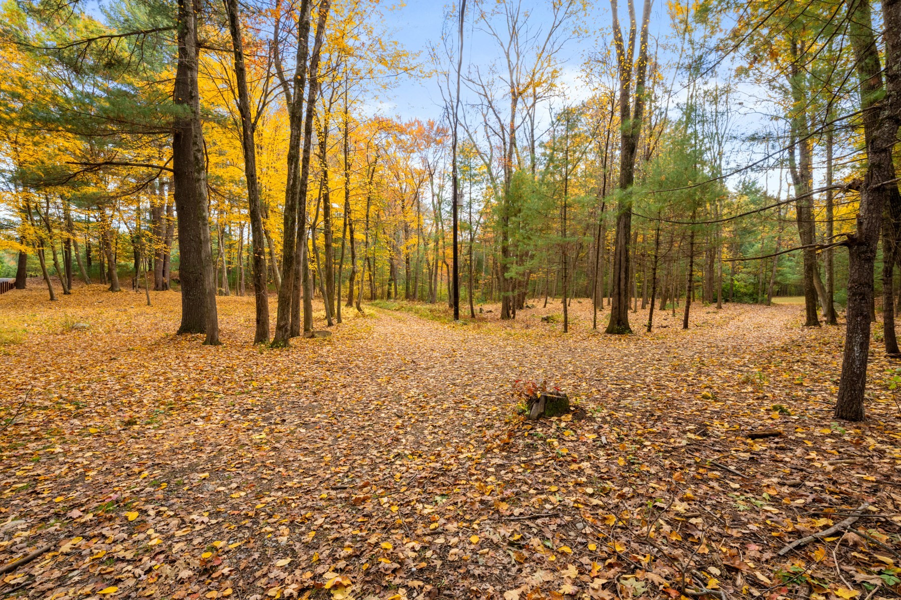 69 Page Rd, Lincoln, MA 01773 - Image 9