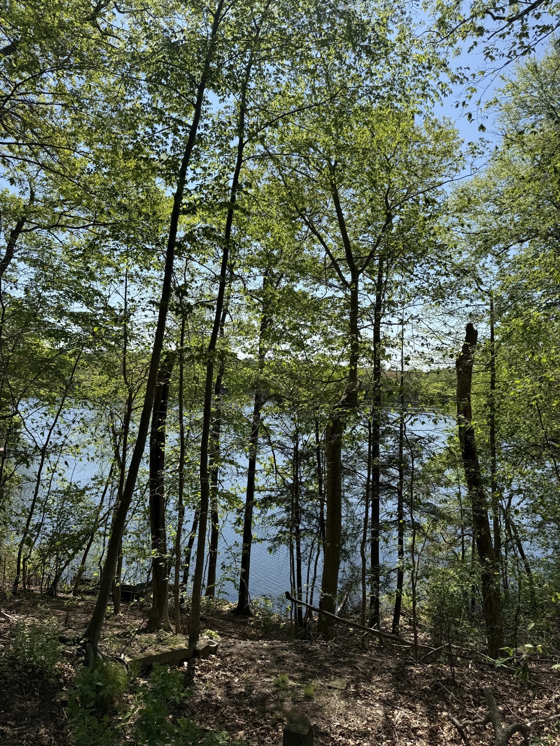 108 Dudley Rd, Wayland, MA 01778 - Image 1