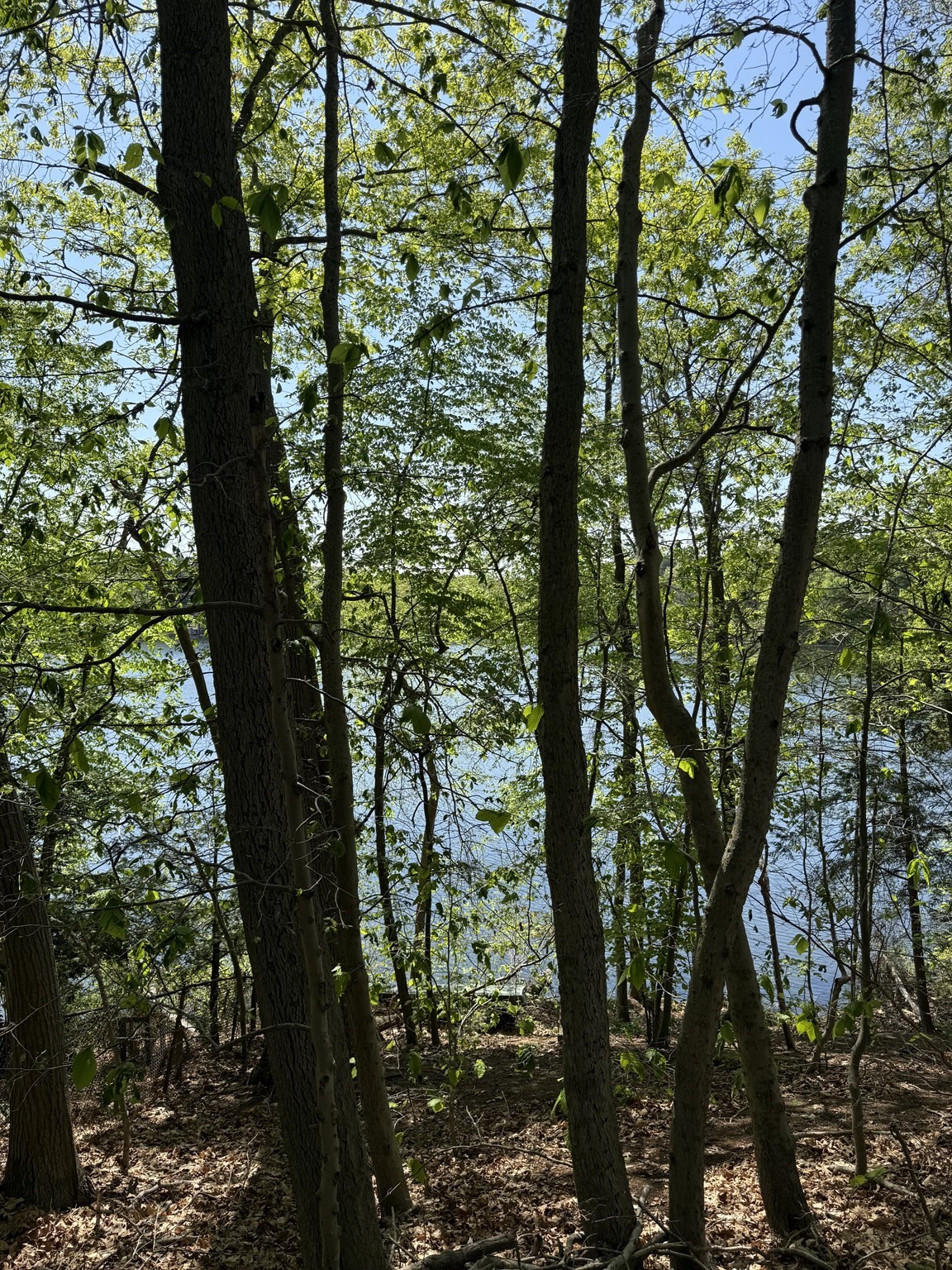 108 Dudley Rd, Wayland, MA 01778 - Image 2