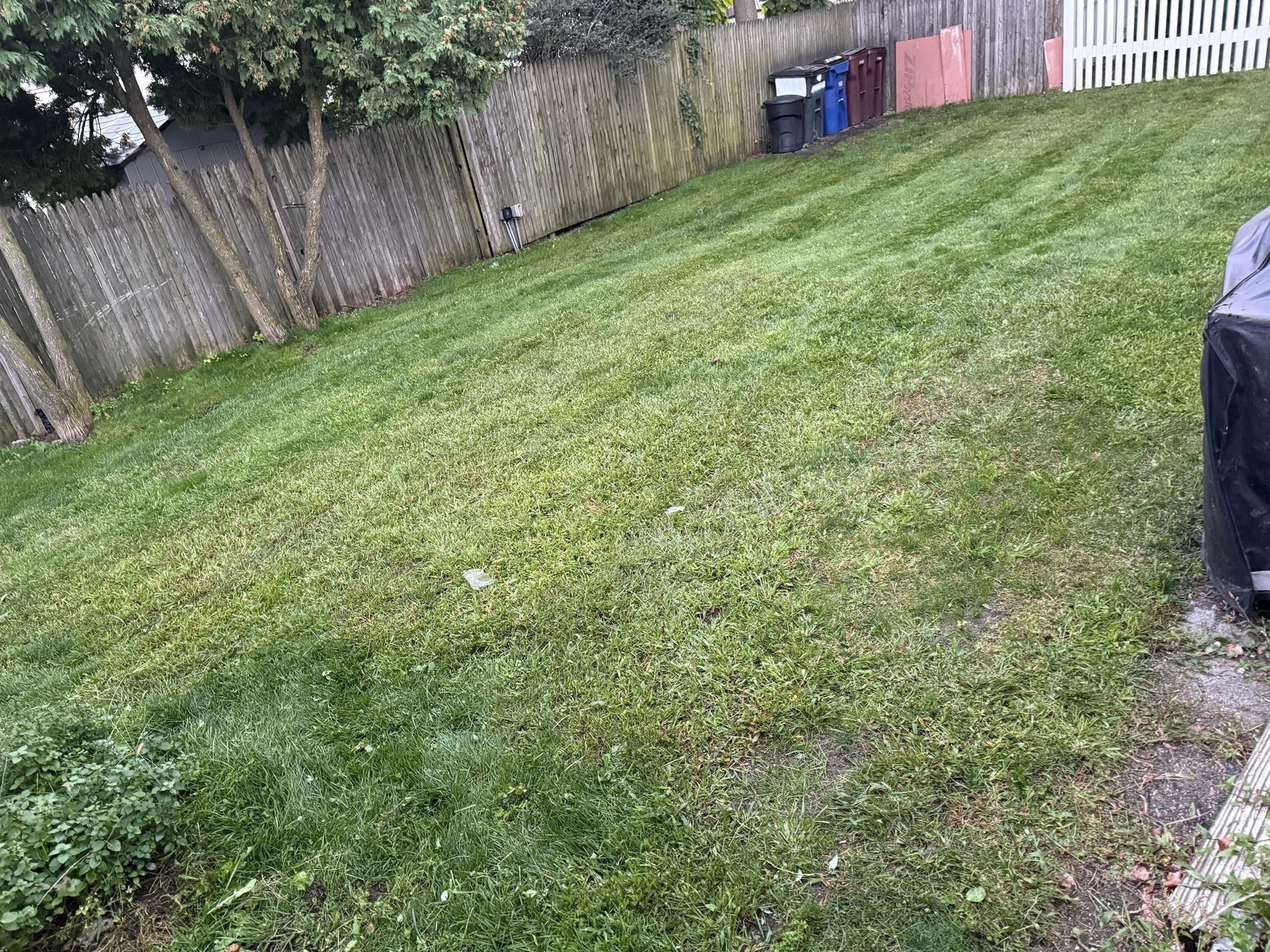 55 Revere Street, Revere, MA 02151 - Image 12