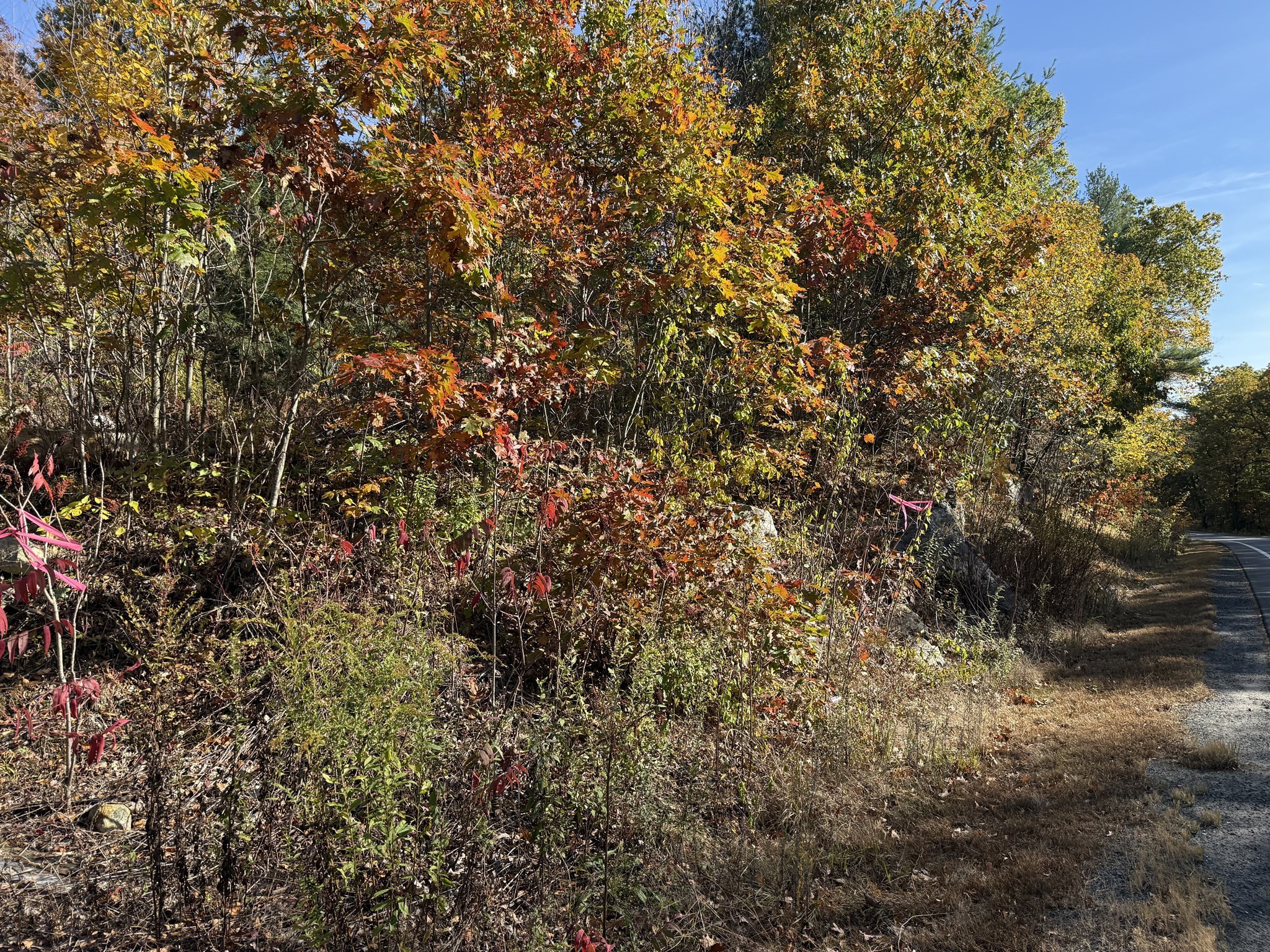 1 Amherst Rd., Belchertown, MA 01007 - Image 4