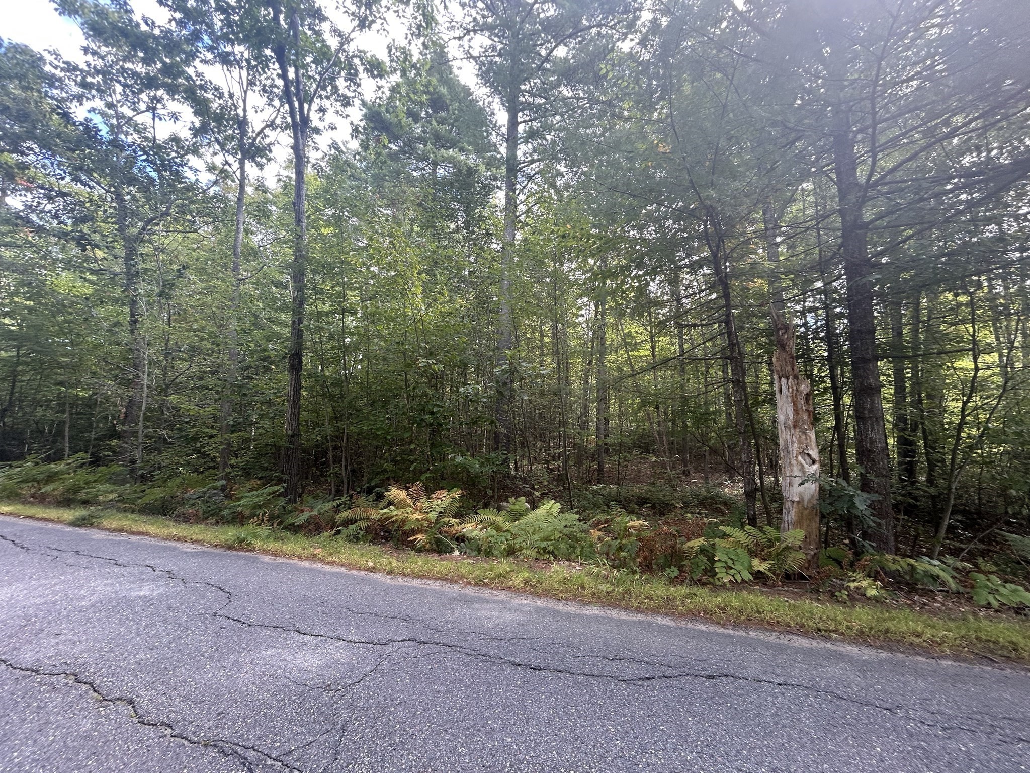 531 Mason Rd, Ashby, MA 01431 - Image 2