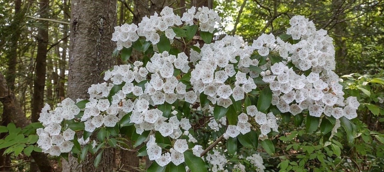 531 Mason Rd, Ashby, MA 01431 - Image 11